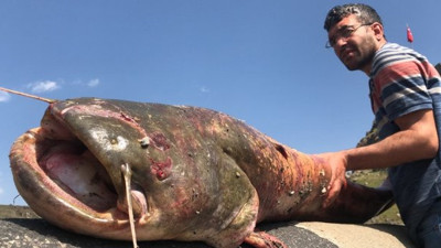 Boylarından uzun balık avladılar