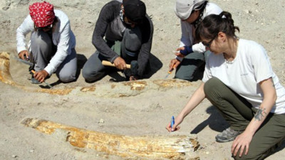 Kayseri'de heyecanlandıran gelişme! 50 metre aralıkla bulundular