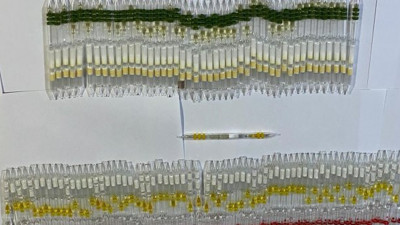 Otogarda yılan zehri baskını