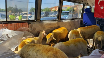 Kurbanlıklara da trafikten men cezası