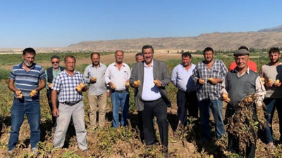 CHP’li vekil kahreden gerçeği bu sözlerle açıkladı: "1 ton patates, 1 çeyrek altın etmiyor"