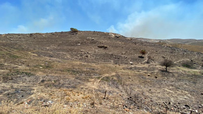 Seferihisar'da yine yangın çıktı! "Bu kaçıncı, kim dur diyecek?"