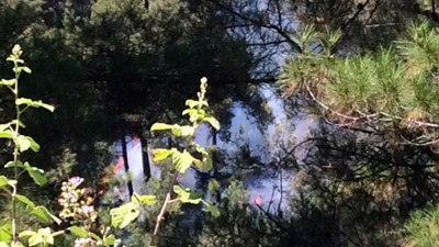 Kozan'da yine ormanlık alan yandı!