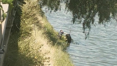 Suriyeli genç kız Asi Nehri'nde ölü bulundu