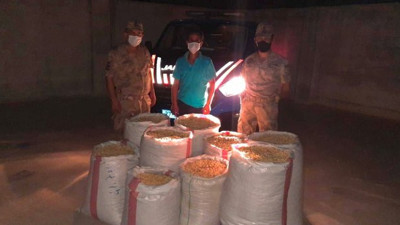 Fıstıkları çalan hırsızlar yakalandı