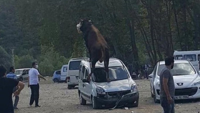 Uçtu uçtu boğa uçtu: Araba hurdaya çıktı: Bilin bakalım burası Türkiye'nin hangi şehri