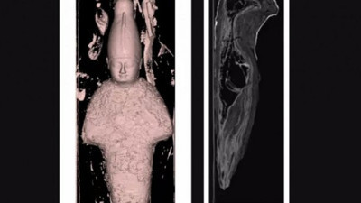50 yıldır sergilenen iki mumyanın içinden çıkanlar bilim insanlarını şaşırttı