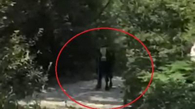 40 saat kaçan boğa 2 kişiyi hastanelik etti