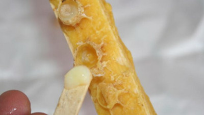 Bal, yoğurt, zeytin, kaşar, margarin... İçinden çıkanlara hayret edeceksiniz