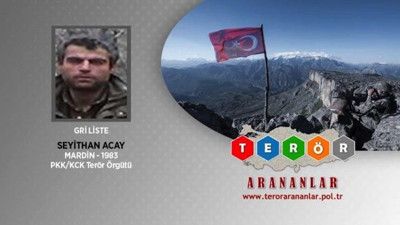 Gri listedeki terörist etkisiz hale getirildi (03 Ağustos 2020)