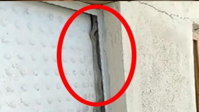 Yılan kapıyı sardı! Görenler dondu kaldı