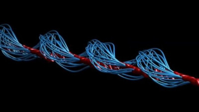 Spermlerin hareket yönü belirlendi, 340 yıllık bilgi değişti