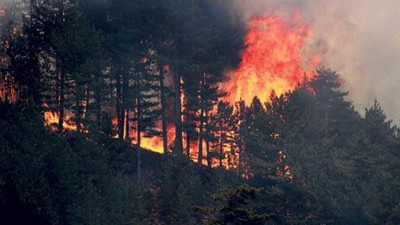 Ormanlık alanlar için 81 ile genelge: Artık müsaade edilmeyecek