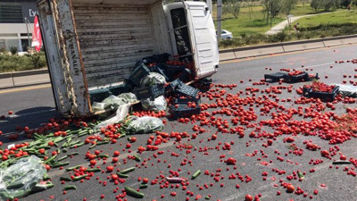 Karayolu sebze bahçesine döndü