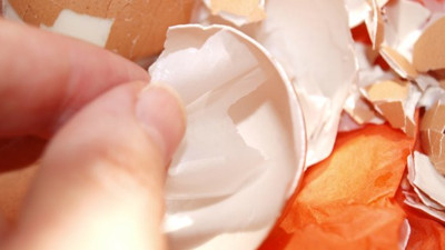 Yumurta zarını sakın çöpe atmayın! Böyle kullanınca derde derman oluyor