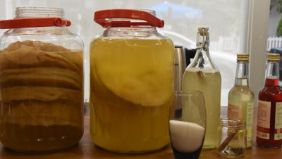 Scobby isimli mayadan yapılıyor! İşte ölümsüzlük iksirinin tarifi