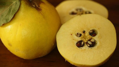 Kilo verdirmede en etkili 10 diyet! Hızla zayıflatıyor iştahı anında kesiyor!