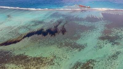 Bütün halk saçlarını bağışlıyor! Kendilerini kurtarmanın tek yolu bu
