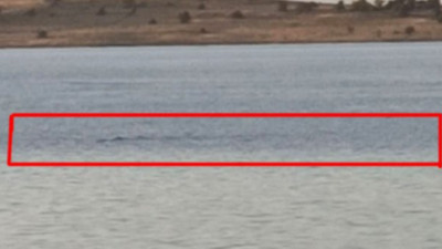 Hem korkuttu,hem heyecanlandırdın! Suyun tam ortasında görüldü! Van Gölü canavarı hortladı