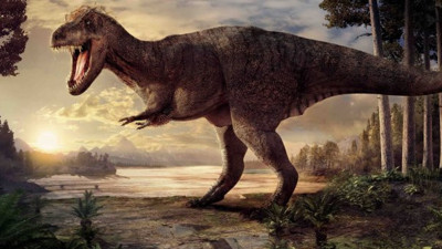 Milyonlarca yıl saklı kalmış! 2020 yılında keşfedildi...