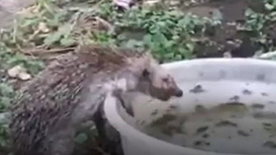 Ünlü gazeteci Büyükada’da çekti! Yaşasın iyi insanlar kahrolsun kötü insanlar