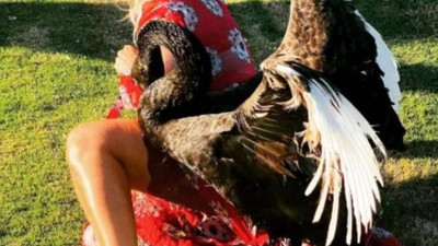 Saba Tümer'e Kuğu saldırdı