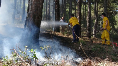 Çöp yakmak isterken Uludağ’ı yakacaktı