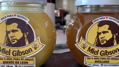 Mel Gibson'ın avukatlarından bal üreticisi kadına uyarı