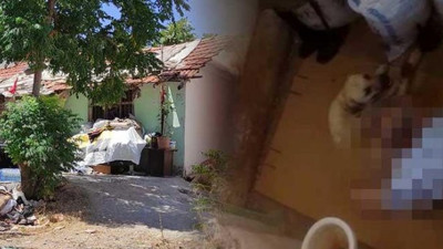 Antalya'da hortumla bağladığı köpeğe tecavüz zanlısı serbest