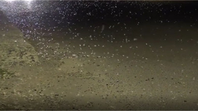 Ölüm uçuşu başladı: Birer birer hayata veda ediyorlar