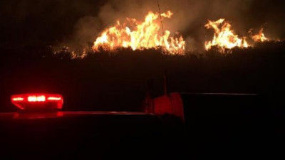 Urla'da yine orman yangını!