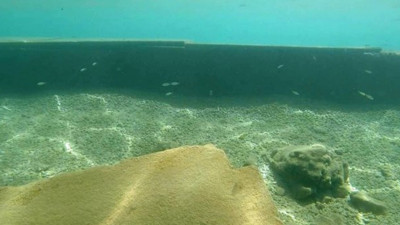 Bodrum’da büyük soruşturma... Yeniçağ yazdı, Çevre ve Şehircilik Bakanlığı harekete geçti…