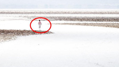 Sonunda kayıtlara geçti: Duyan koştu gördüğünüze inanın