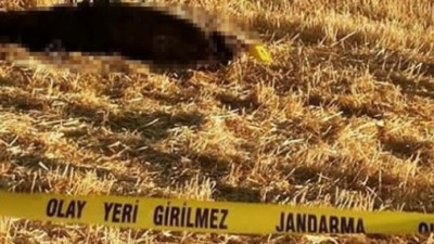 Konya'da sır olay! Cansız bedeninin üzerinde çıktı