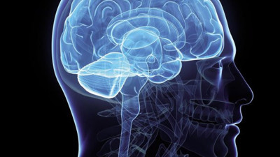 Bilim insanları çılgın aleti açıkladılar: Beyinleri birleştirmeyi başardılar