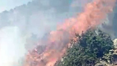 Kayseri'de 3 hektarlık orman alanı yandı