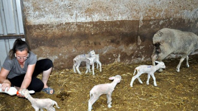 Gören gözlerine inanamadı! Besici sevinçten havalara uçtu