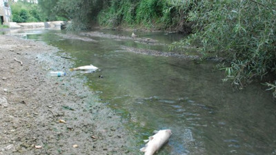 Halk ne yapacağını şaşırdı: Her yerden fışkırıyor