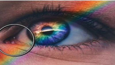 İnsanoğlunun geçirdiği evrimin kanıtı! Vücudumuzda yer almasına rağmen işlevini yitirmiş kısımlar