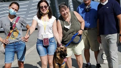 Sopayla dövülen köpeğe, İtalyan aile sahip çıktı