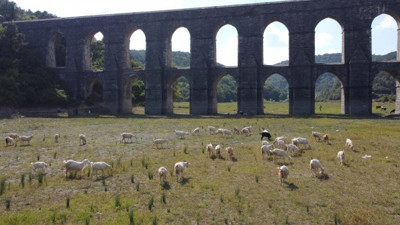 Kuruyan barajda artık hayvanlar otluyor, Karadeniz sular altında İstanbul’da bir damla bile yok
