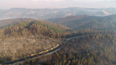 Bakan Bekir Pakdemirli duyurdu: Adana'daki yangın kontrol altında