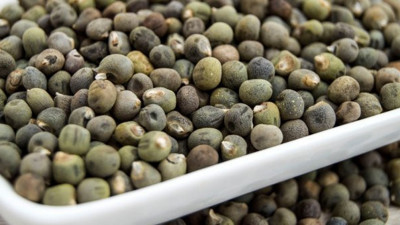 Hem zayıflatıyor hem bağışıklığı güçlendiriyor