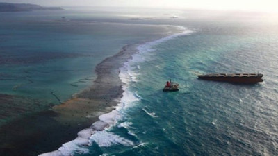 Mangrov ormanlarını yok olabilir! Gemiden petrol sızmıştı