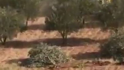 Polisiye romanlarının ünlü yazarı Ahmet Ümit paylaştı: Sıra bunlara geldi