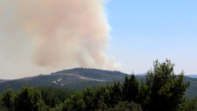 Hatay'da orman yangını (30 Ağustos 2020)