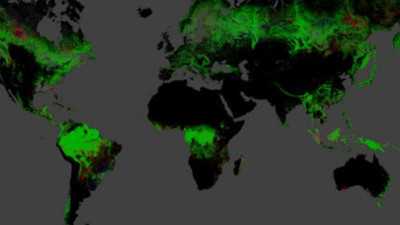 Bilim insanlarından son uyarı geldi: Artık son virajdayız