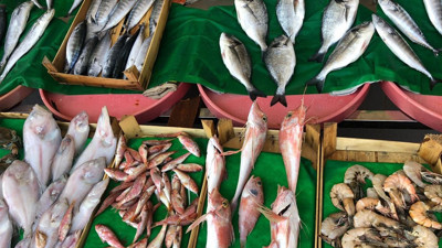 Tezgahlar balık doldu, işte ilk fiyatlar