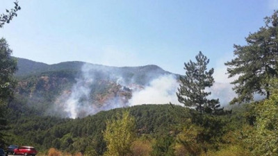 Ankara'da bir yangın daha: Milli Park'ta alevler yükseliyor