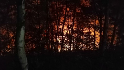 Tokat'ta 10 dekarlık orman alanı yandı